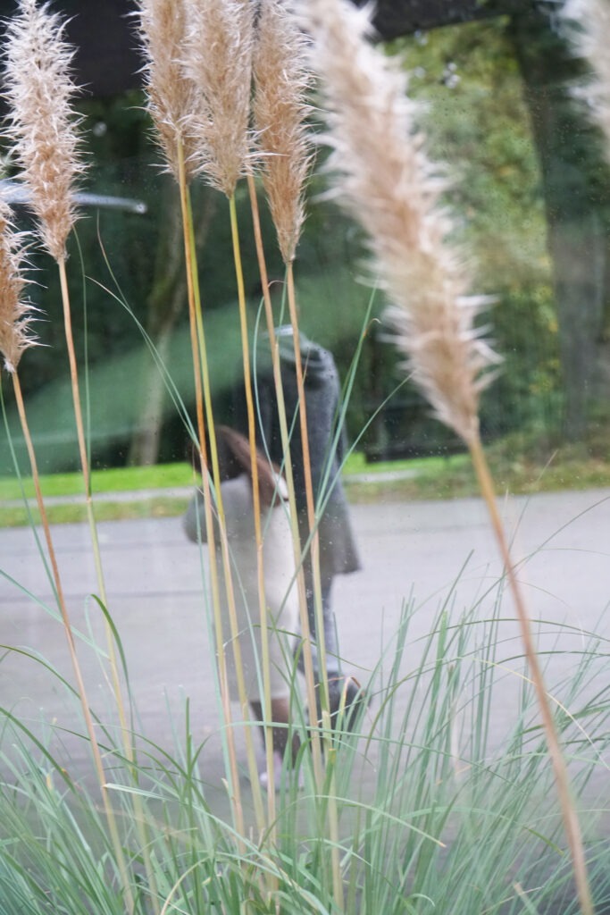 Familienshooting im Park - Viktorias Blickwinkel